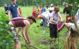 Work at a local Conservation Project