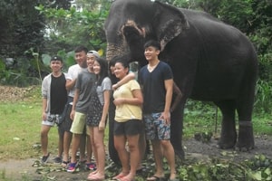 volunteer project